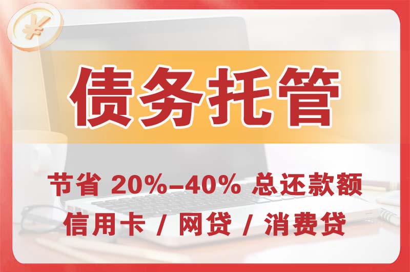 河北区债务托管